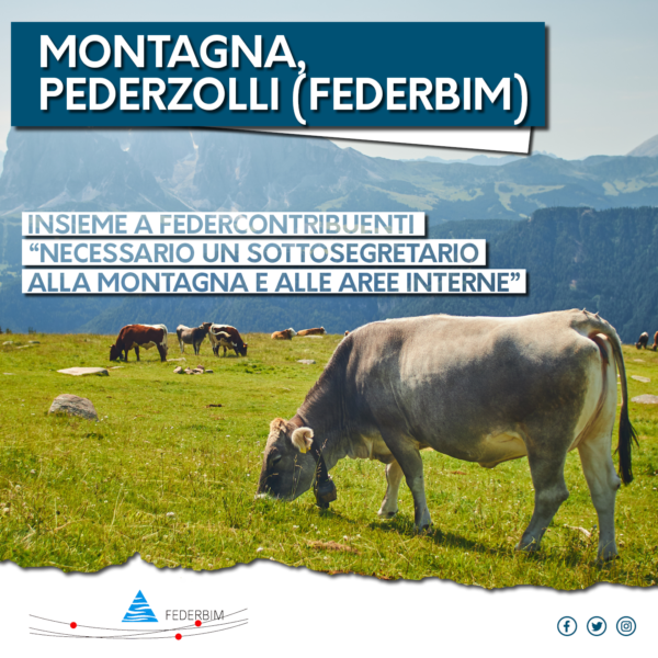 montagna federbim pederzolli aree interne federcontribuenti mucche al pascolo con sfondo montagne
