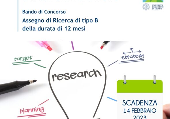 bando di concorso promosso da UNIMONT assegno di ricerca di tipo B della durata di 12 mesi federbim concorso
