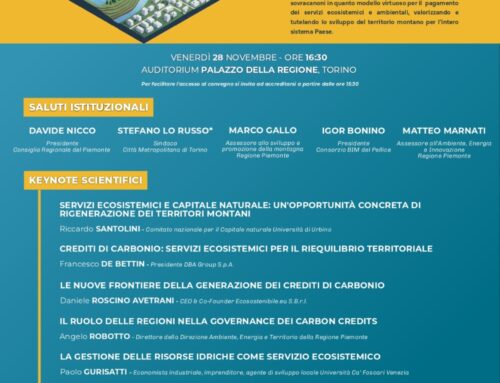 “Dai sovracanoni ai servizi ecosistemici: la montagna che vale all’Italia”, 28 novembre convegno FederBIM a Torino