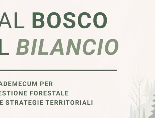 Dal bosco al bilancio: un vademecum per la gestione forestale nelle strategie territoriali