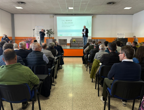 Il patrimonio forestale al centro del convegno FederBIM