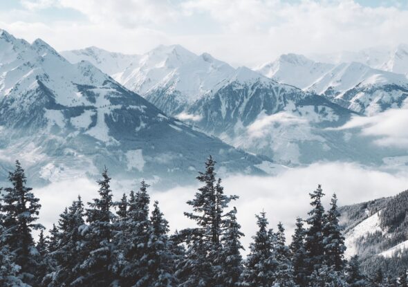 montagne innevate con abeti
