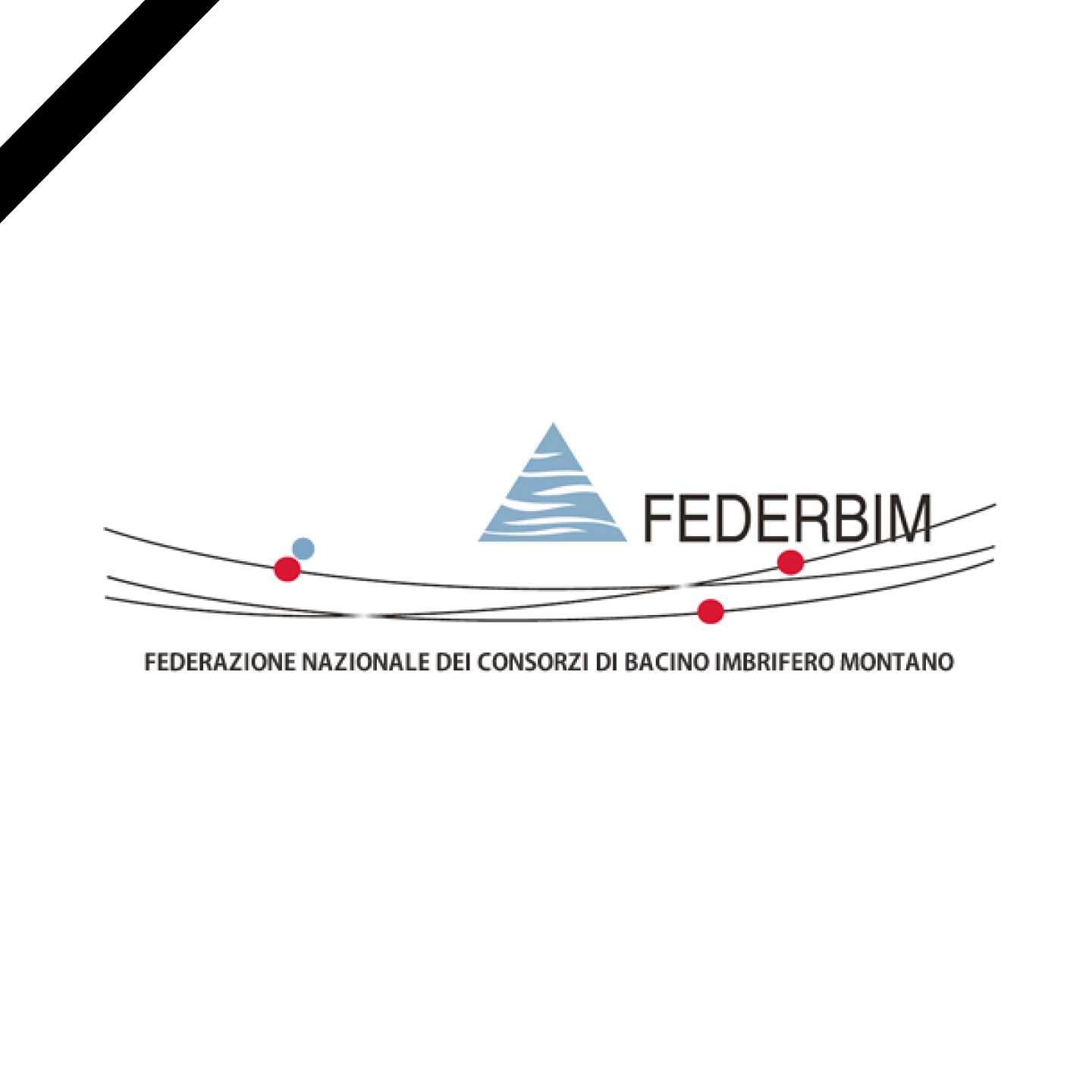 gabriele Calliari lutto federbim federazione nazionale dei consorzi di bacino imbrifero montano