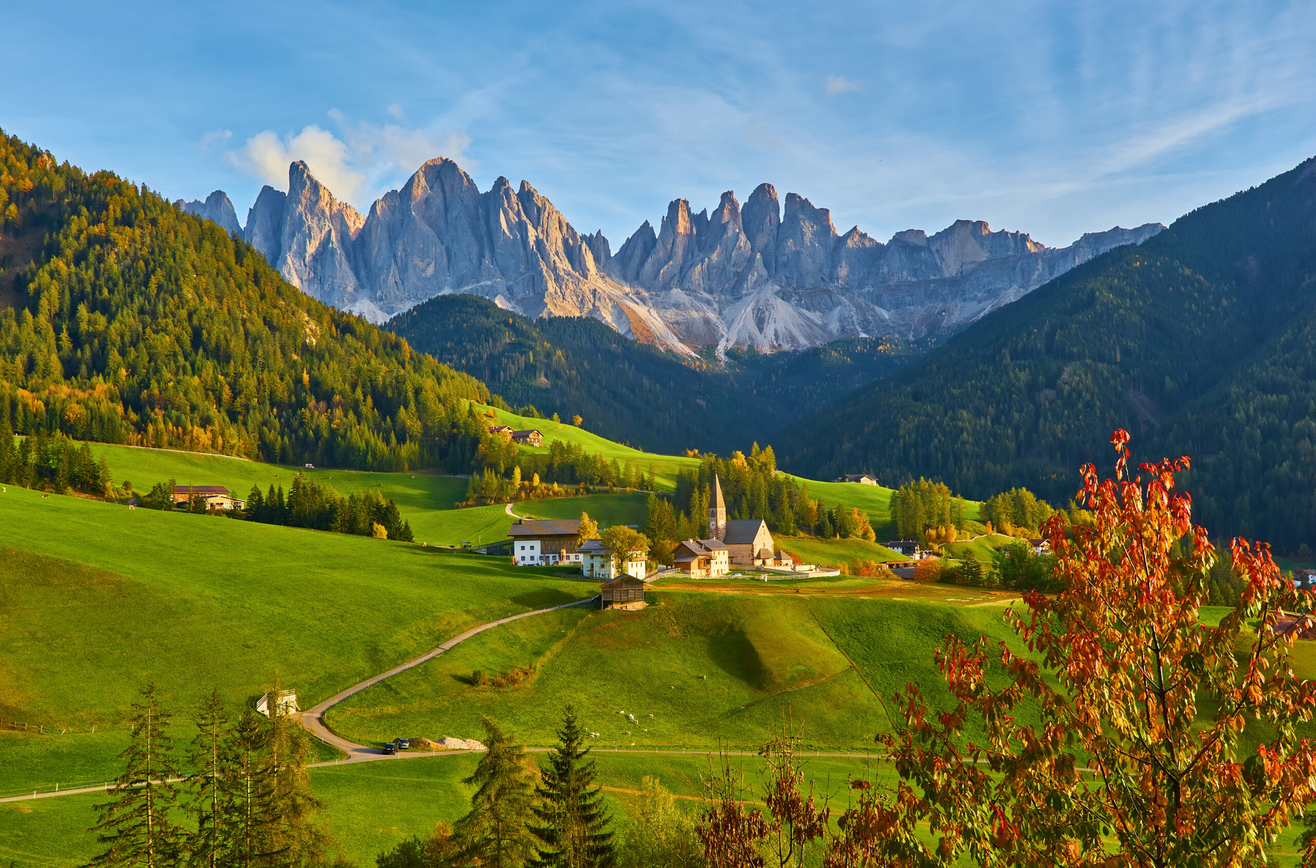 Santa Maddalena Sud Tirol montagne e alberi